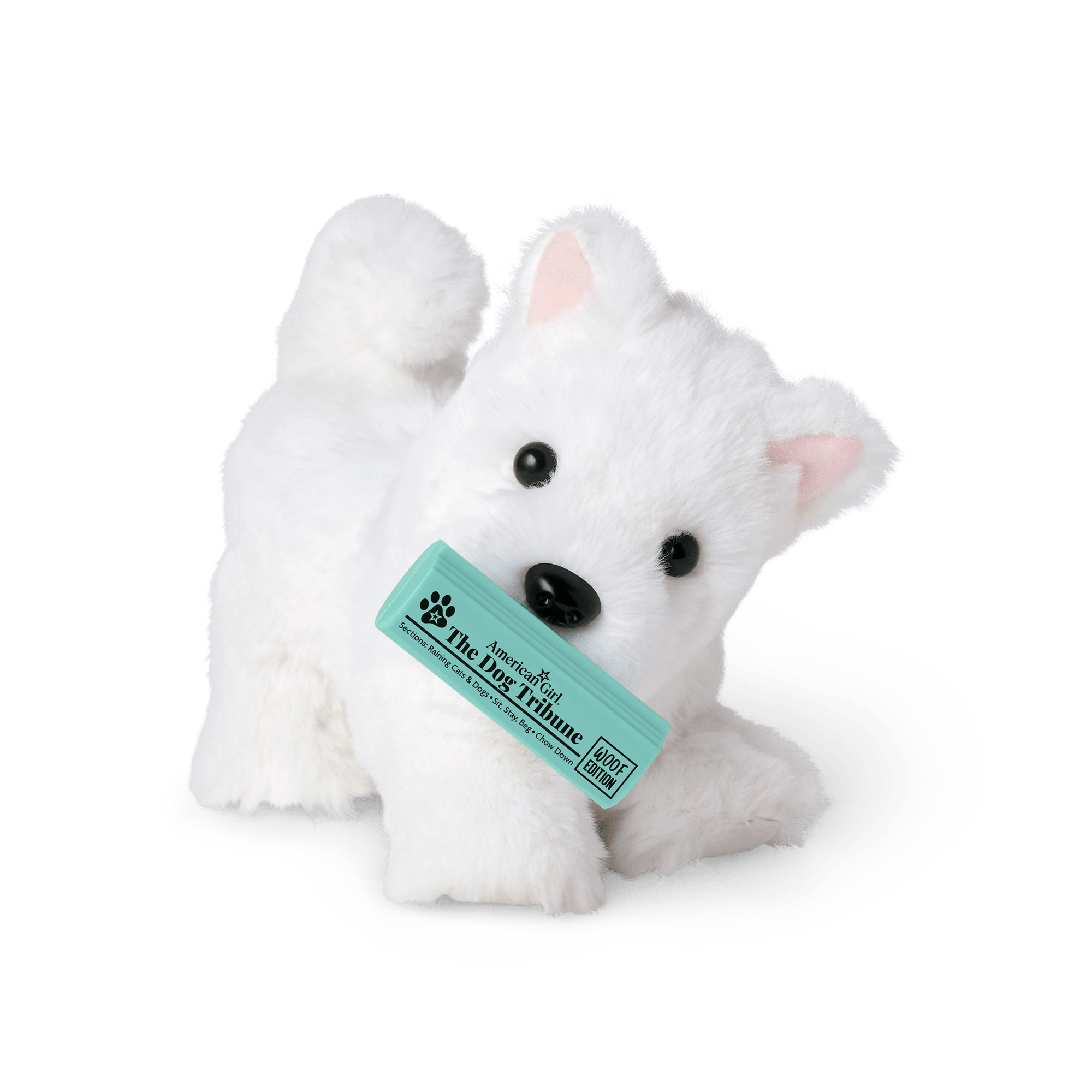 18-inch Doll Dog Lover Basket with Pet Accessories & Book