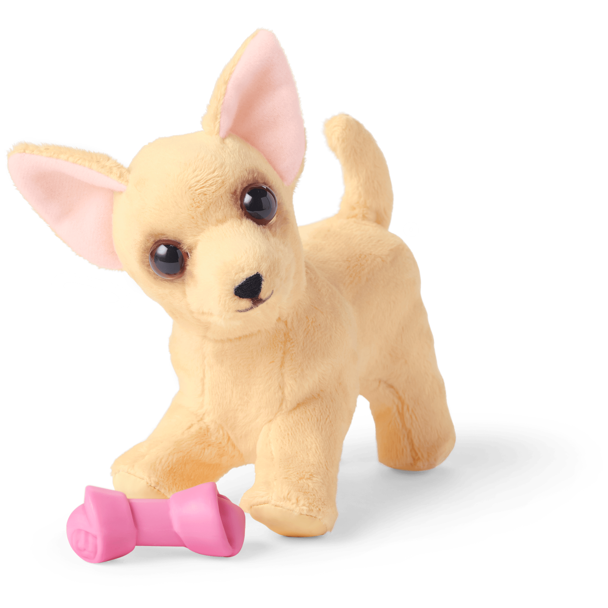 18-inch Doll Dog Lover Basket with Pet Accessories & Book