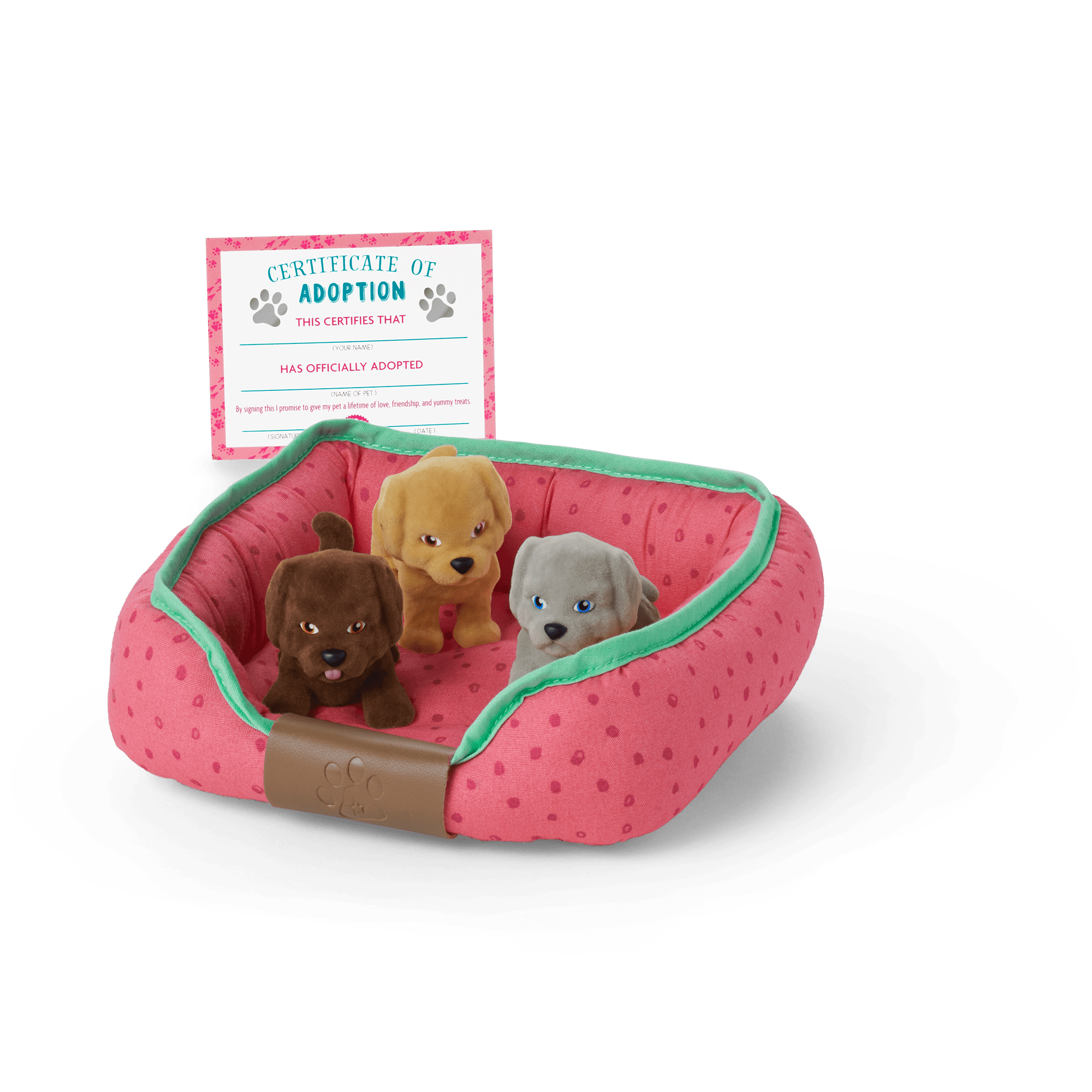 18-inch Doll Dog Lover Basket with Pet Accessories & Book